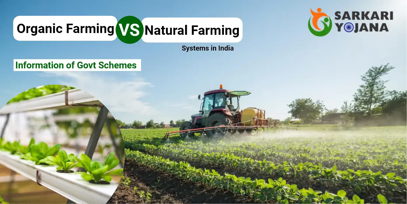 Organic Farming Vs Natural Farming
