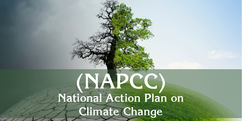 National Action Plan on Climate Change (NAPCC): Strategies and Progress towards Mitigating the Climate Crisis
