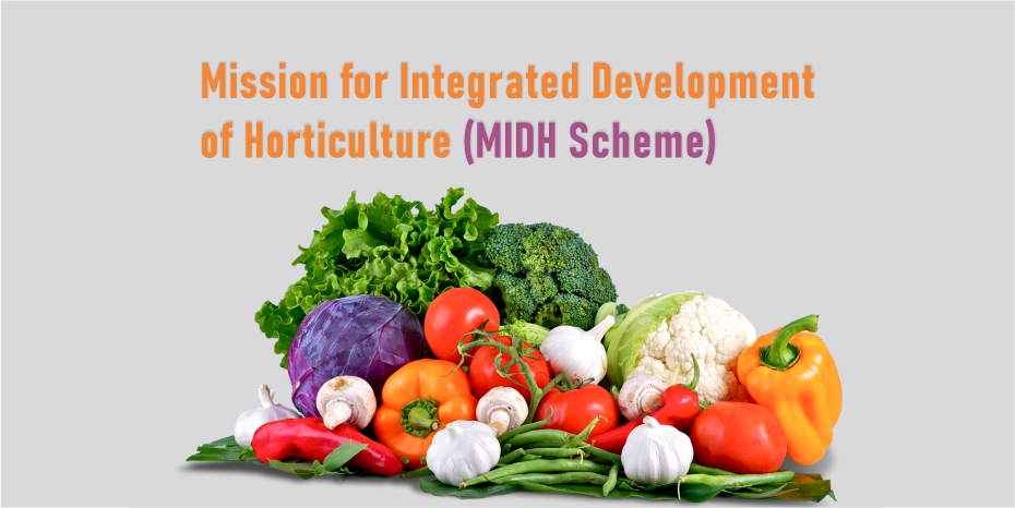 Mision for Integrated Development of Horticulture (MIDH)