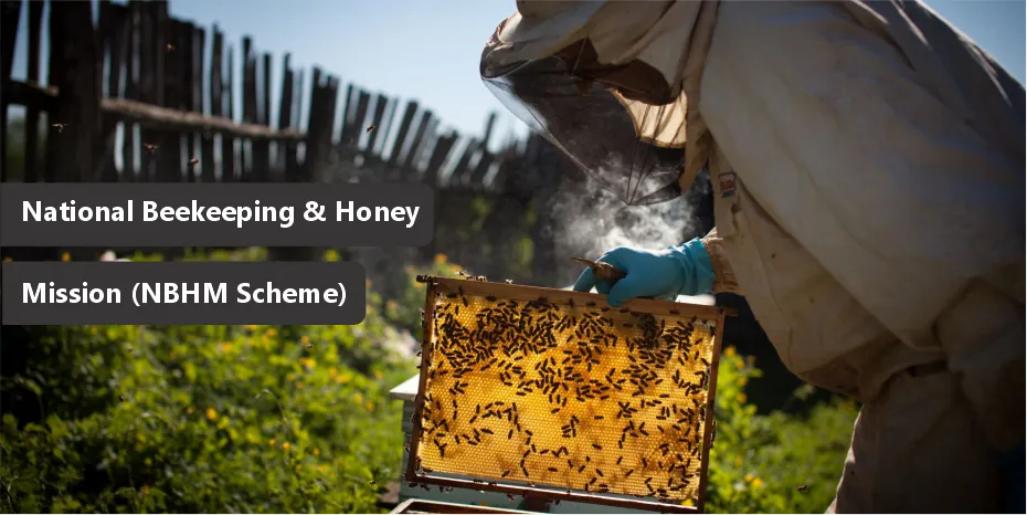 National Beekeeping & Honey Mission (NBHM)